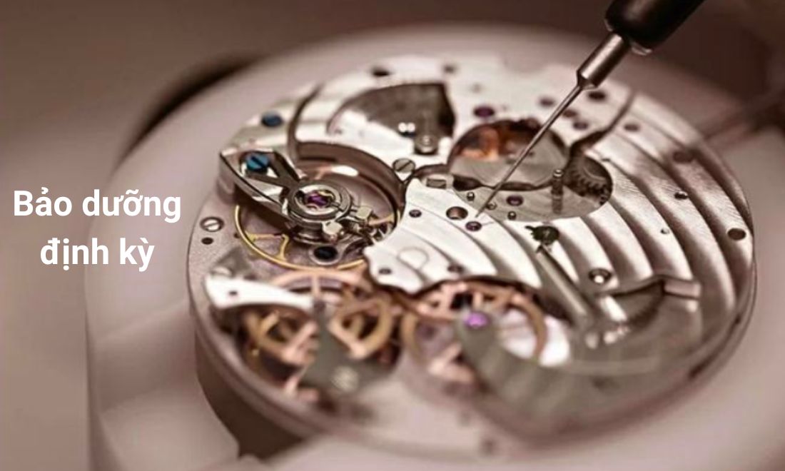 Cần vệ sinh, bảo dưỡng đồng hồ định kỳ để Pinion không bị hỏng hóc theo thời gian 