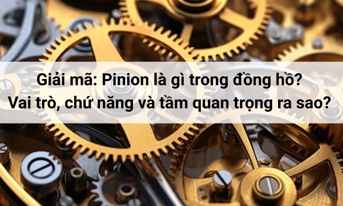 Pinion là gì trong đồng hồ? Vai trò của bánh xe nhỏ có răng