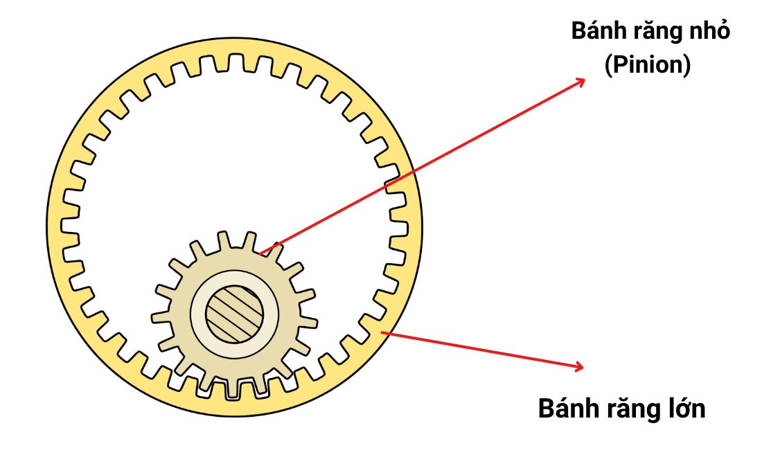 Pinion chính là bánh xe nhỏ có răng hay bánh xe có răng chuyền trong cấu tạo của đồng hồ cơ 